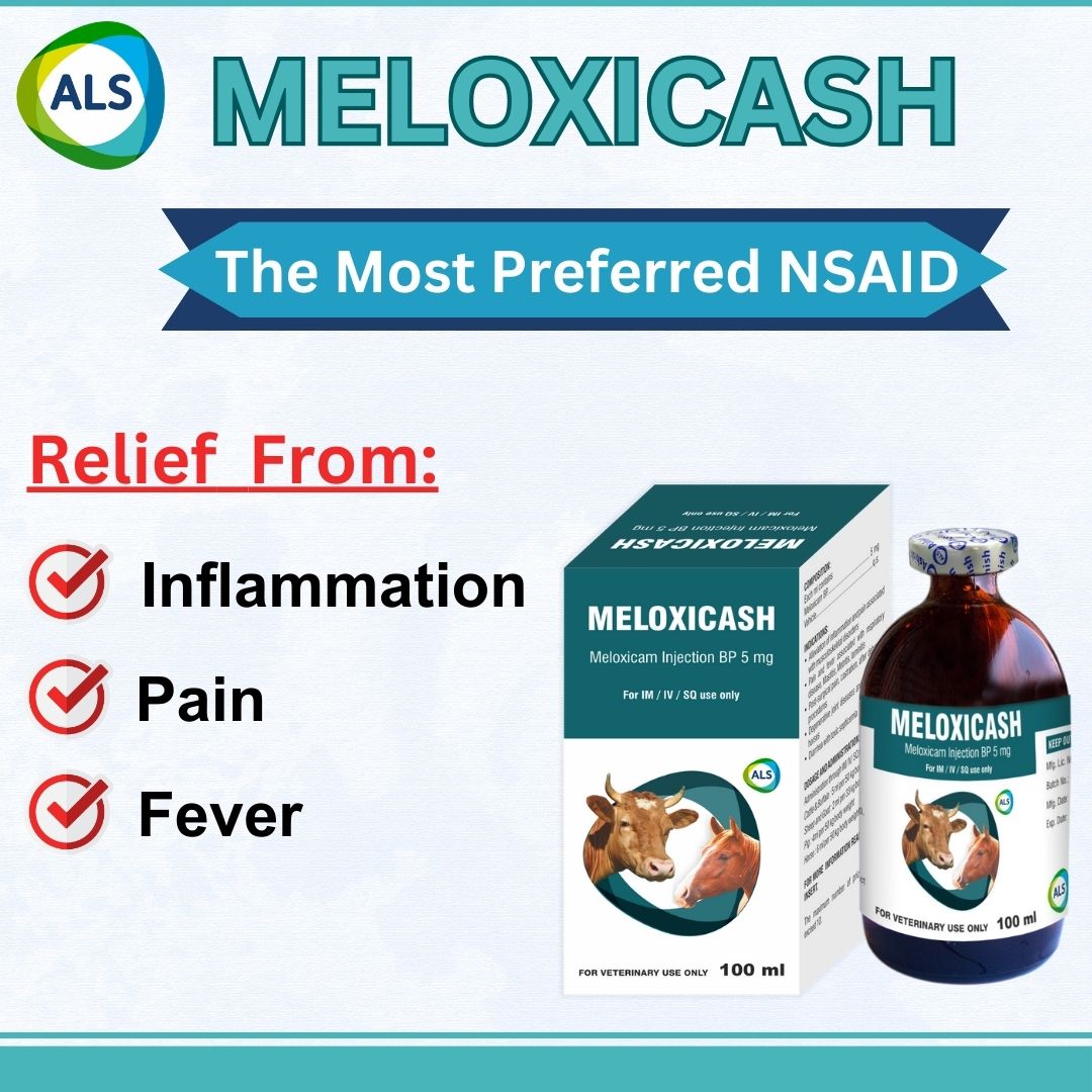 Meloxicash - The most preferred NSAID. #meloxicash #nsaid #AnimalCare #ashishlifescience #Animalpharma #poultryfarming #animalhealth #livestockfarming #nutrition #ProfitableFarming #follow #knowledgesharing #SharePost