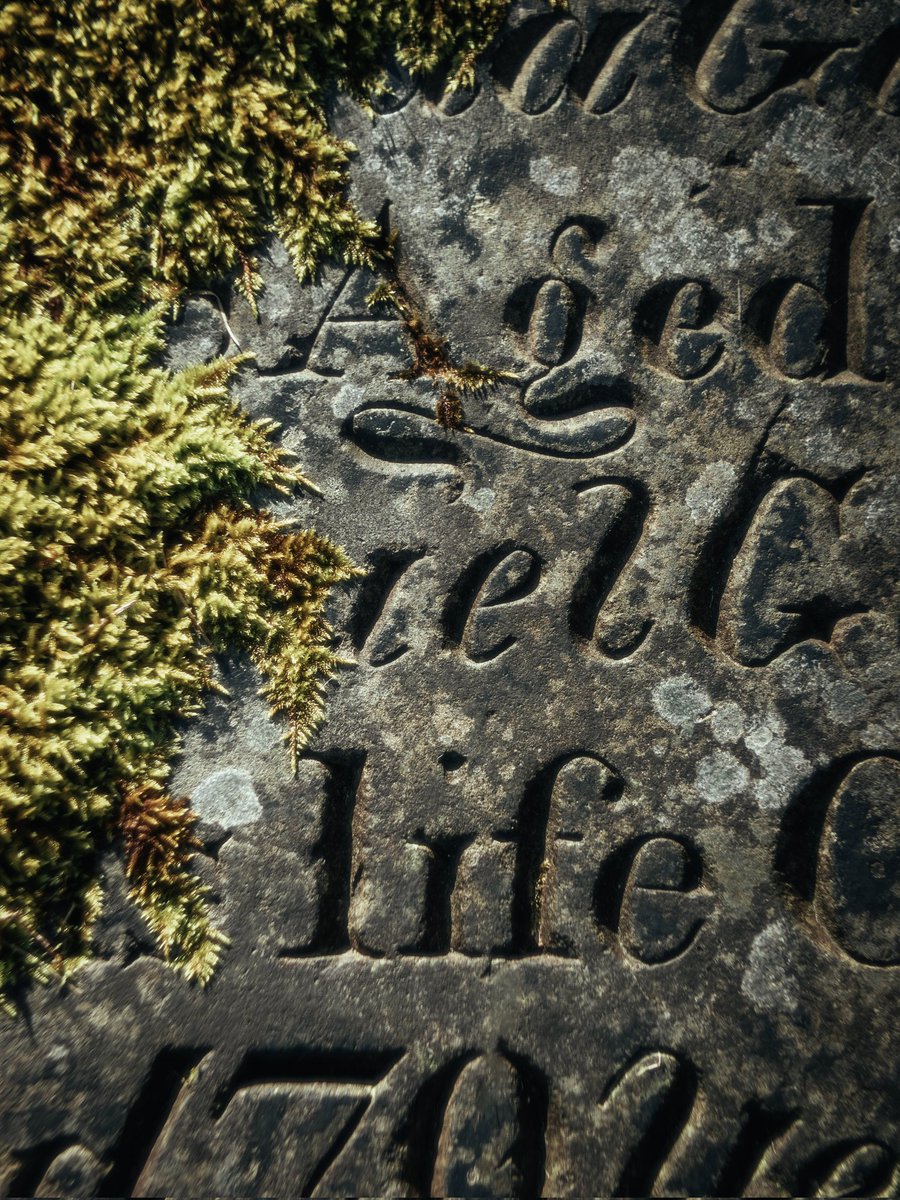 Aged life. Nature reclaiming a grave stone in Congleton.