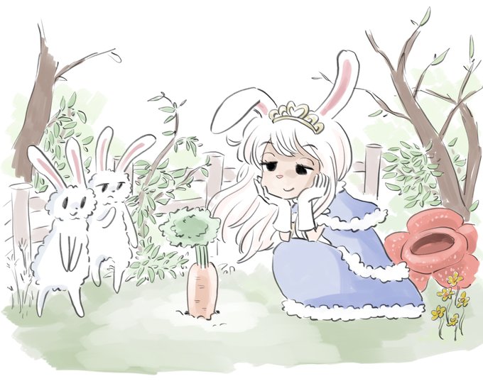 ニンジン観察 