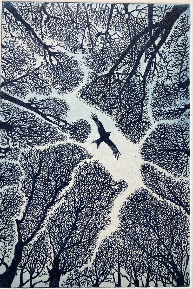 'Breathing Space', etching by contemporary artist and printmaker  Janis Goodman #WomensArt