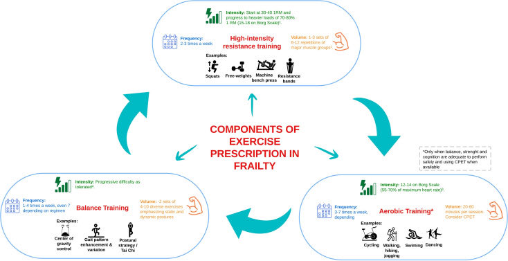 Exercise prescription recommendations in Frailty👇🏼 ▶️Resistance (strength) training ▶️Aerobic (endurance) training ▶️Balance training #ageing #frailty #exercise onlinecjc.ca/article/S0828-…