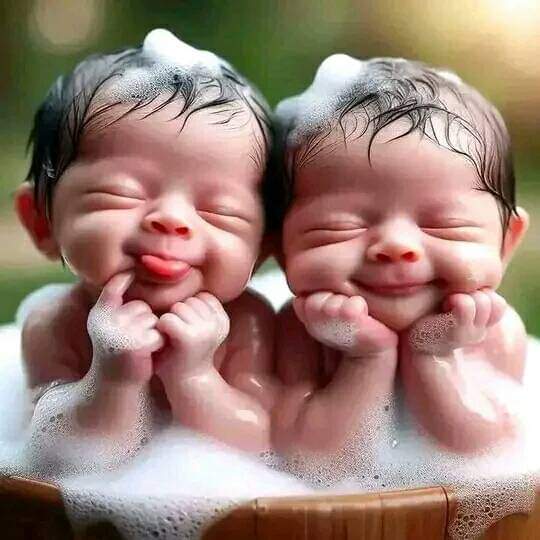 MD DALIM KHAN (@mddalimkha18878) on Twitter photo 