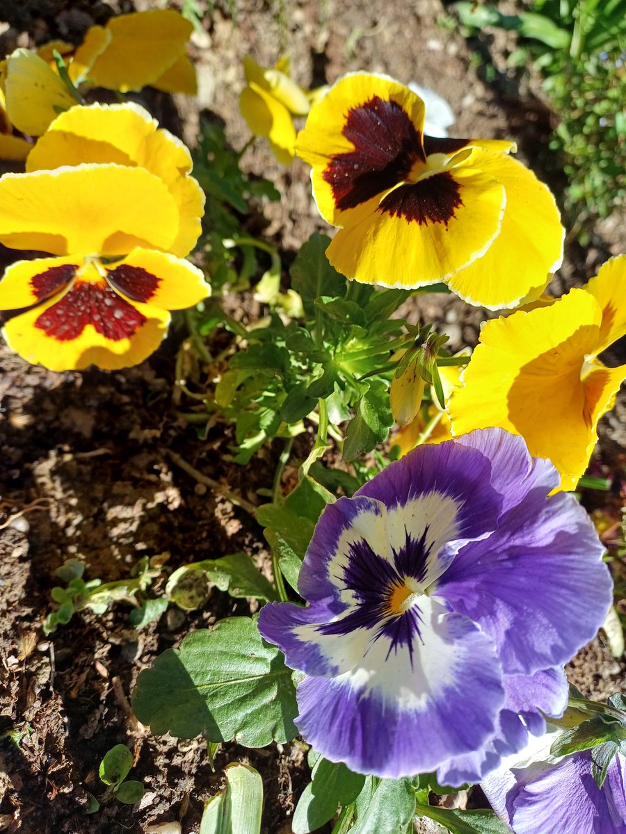 Насмевка и позитивна енергија за убав почеток на денот😊🍀