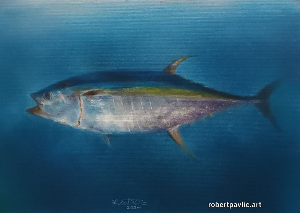 pavlic_robert's tweet image. Rio O&apos;Mare, pastel on paper, 50x35cm, 2024 @jacksons_art @sennelier1887 @STABILO @Fabriano1264 #tuna #nofilter #pasteldrawing