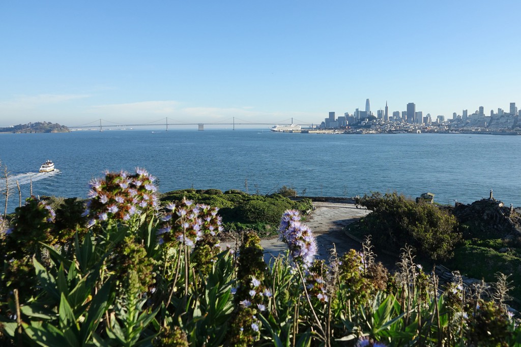 🌅 Witness the breathtaking views of #SanFranciscoBay from Alcatraz Island! Perfect for your next profile pic. 😉 #GoldenGateViews Read more 👉 lttr.ai/AQw2v