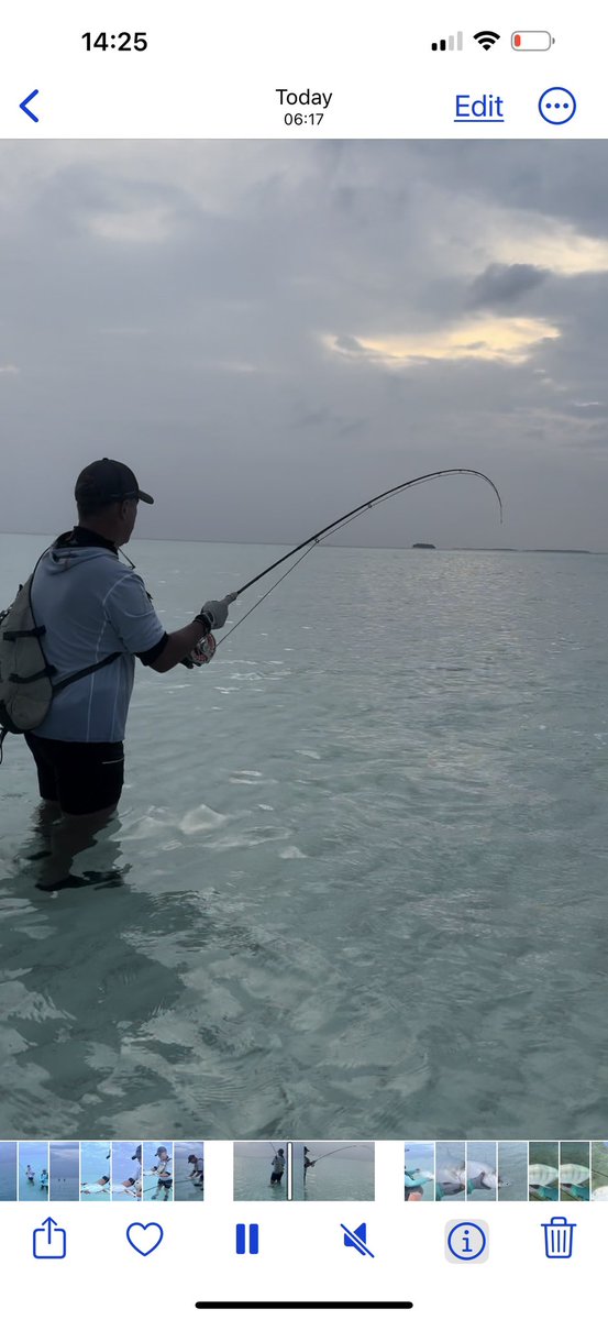 chrishague16's tweet photo. #maldives
#sightfishing
#saltwaterprototyperods
#mackenziedesignteam
https://t.co/Os3HjEr92f https://t.co/K8J2xfzMrz