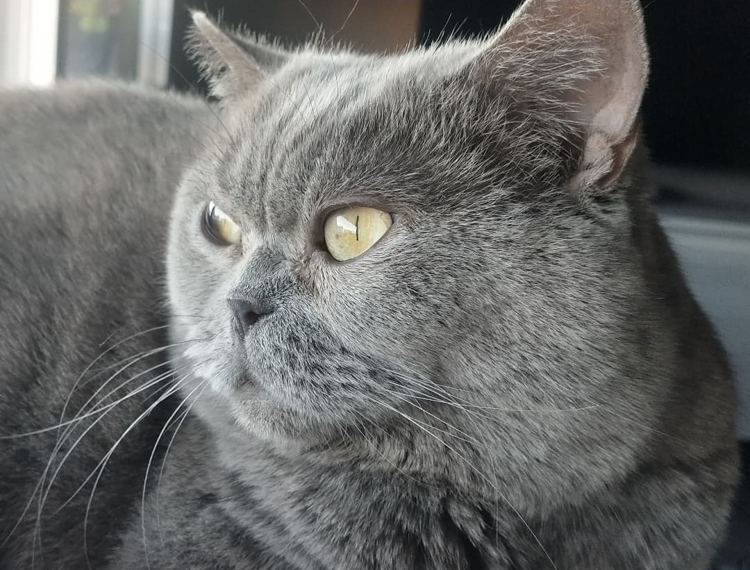 Buenos días a todos los que todos los días dais los buenos días...