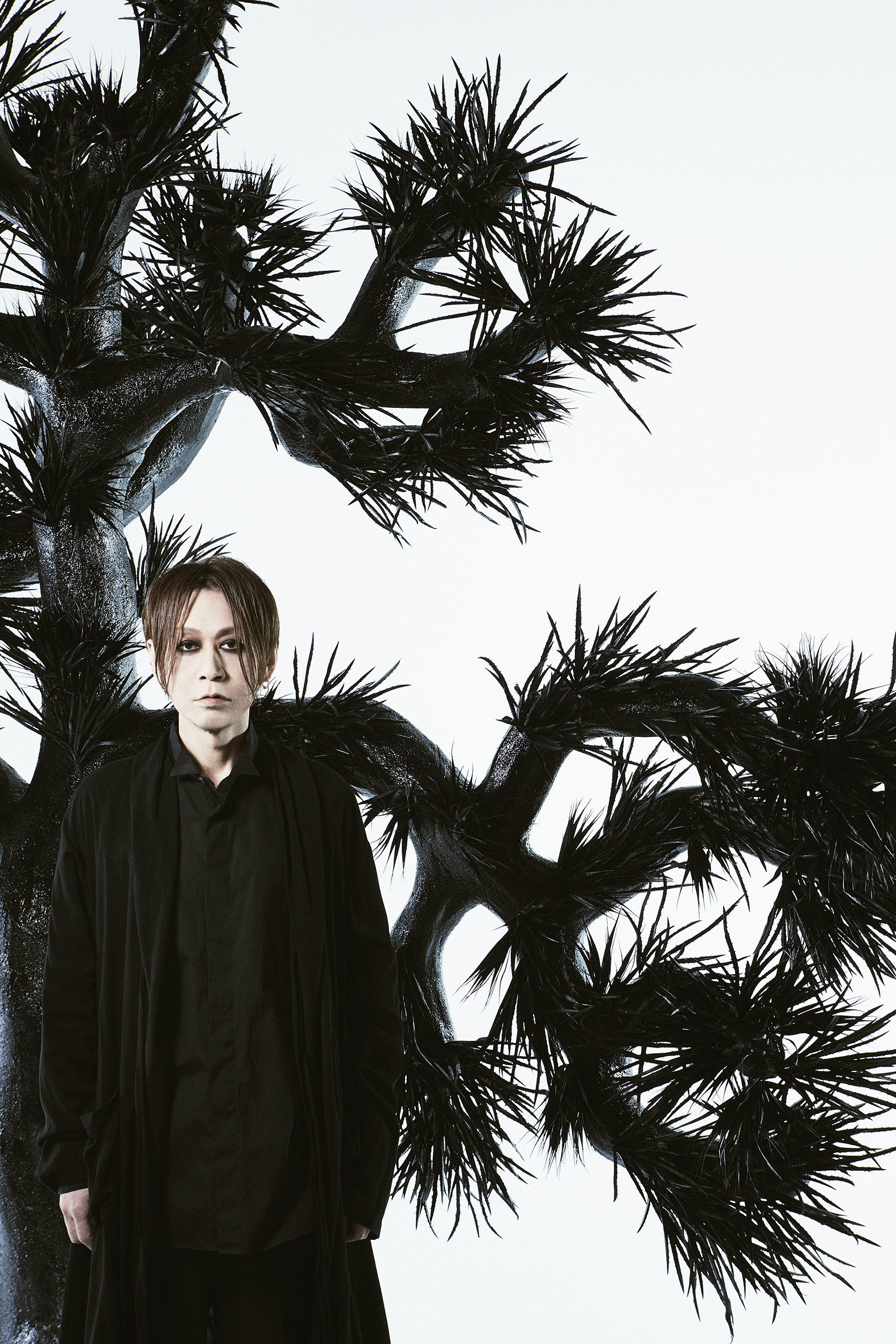 ミュージシャン Plastic Tree Photo Plastic Tree group photo | vkgy (ブイケージ)