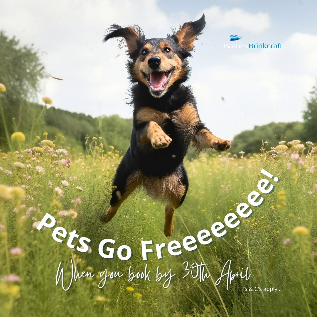 It's Back!  Our popular, Pets Go Free offer, when you book by the 30th April 2024.   barnesbrinkcraft.co.uk/pets-go-free/

#DogFriendlyHolidays #NorfolkBroads #Wroxham #Norwich #BoatingHolidays #HolidayCottages #BoatHire #VisitTheBroads #ShortBreaks