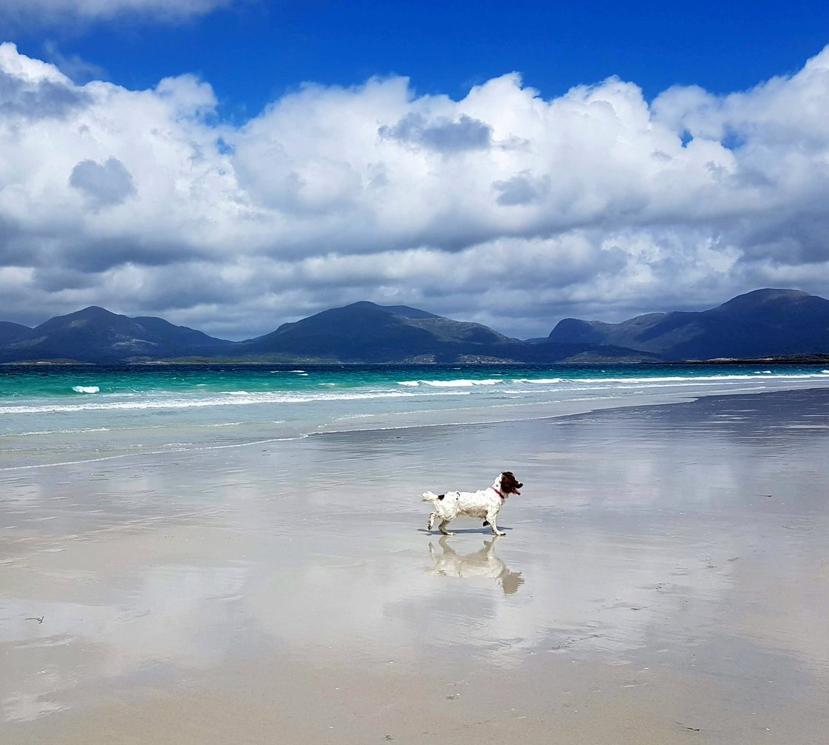 A day to chill on the beach - have a wonderful Friday, friends 
#ScotlandisNow #StormHour #photography #photooftheday #landscape #OutAndAboutScotland #landscapephotography 
@VisitScotland @ScotsMagazine #friends #ThePhotoHour #stvsnaps #beautiful