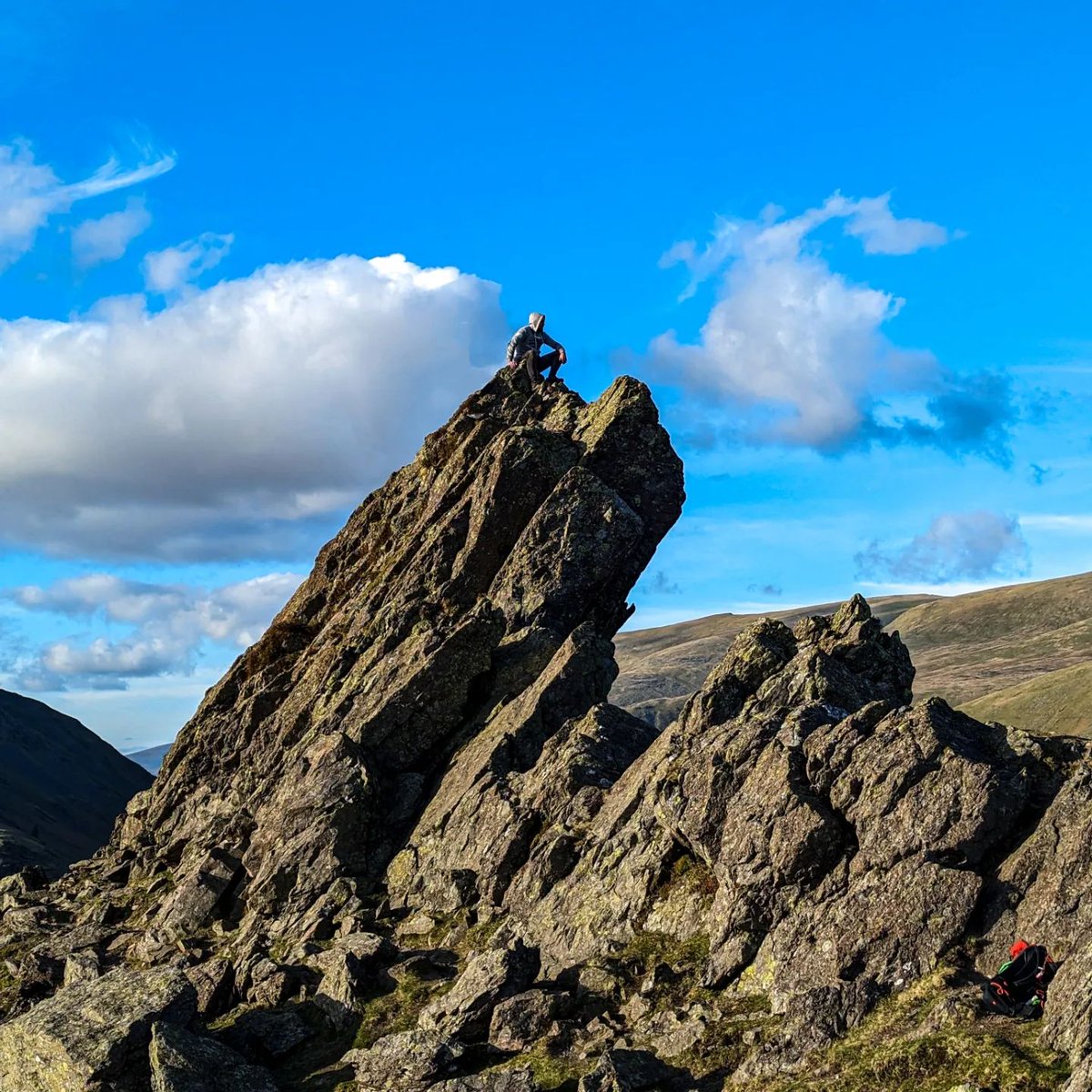 WildBounds tweet media