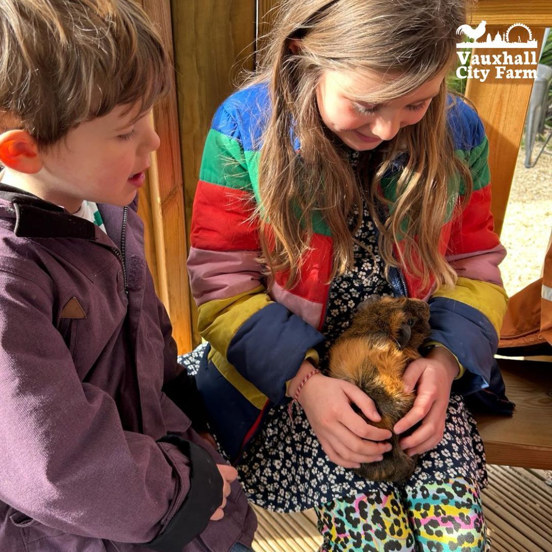 From March 29th to April 14th, join us every day between 11 am - 12 pm for cuddles with our adorable small animals. 🐣 Book in at The Farm (£4). #Halftermactivitiesforkids #London #Kidsactivities #EasterEggHunt #EggHunt #Easter2024 #Thingstodo #takeyourkidseverywhere #dowtk