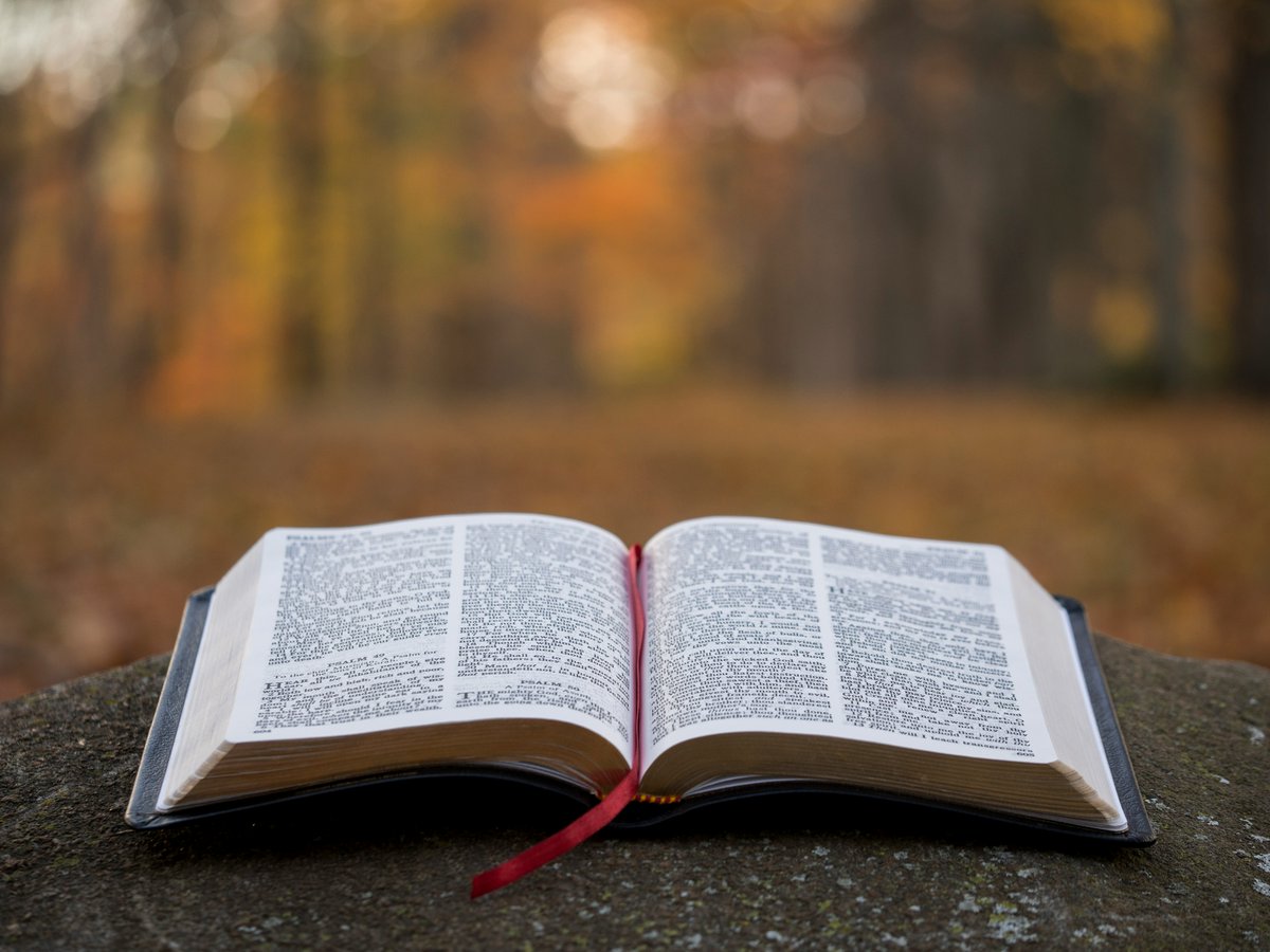 Easter is a special time in the Christian calendar when we commemorate the sacrifice of Jesus and celebrate his resurrection.

Rock UK would value your prayers for our team as we continue our mission to 'Transform young lives by having an adventure"

#OutdoorEducation #Charity