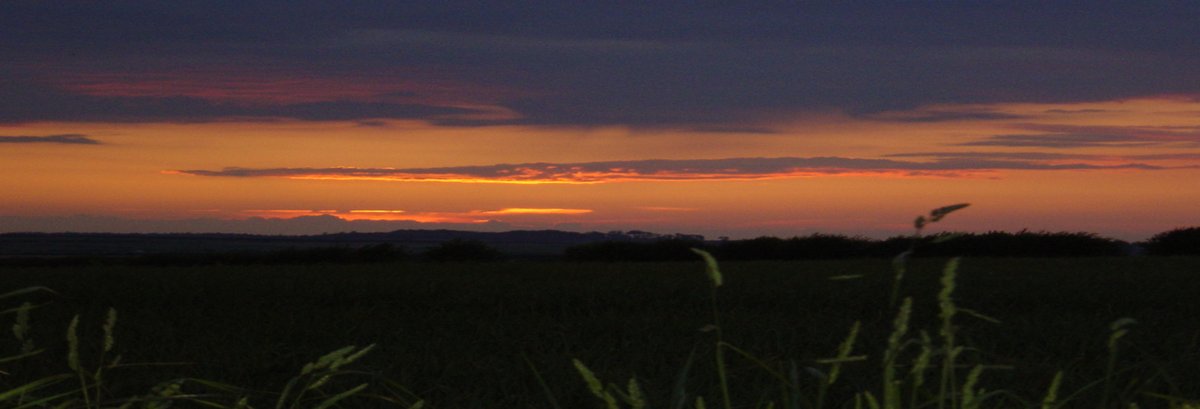 Enjoy the great outdoors over the Easter break with the first of our evening guided walks at Sculthorpe Moor. Experience the reserve and its wildlife at dusk on Thursday 4 April, from 6pm. For more information and to book: ow.ly/QGoa50QSZNJ