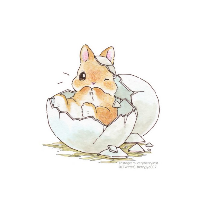 「animal focus egg」 illustration images(Latest)