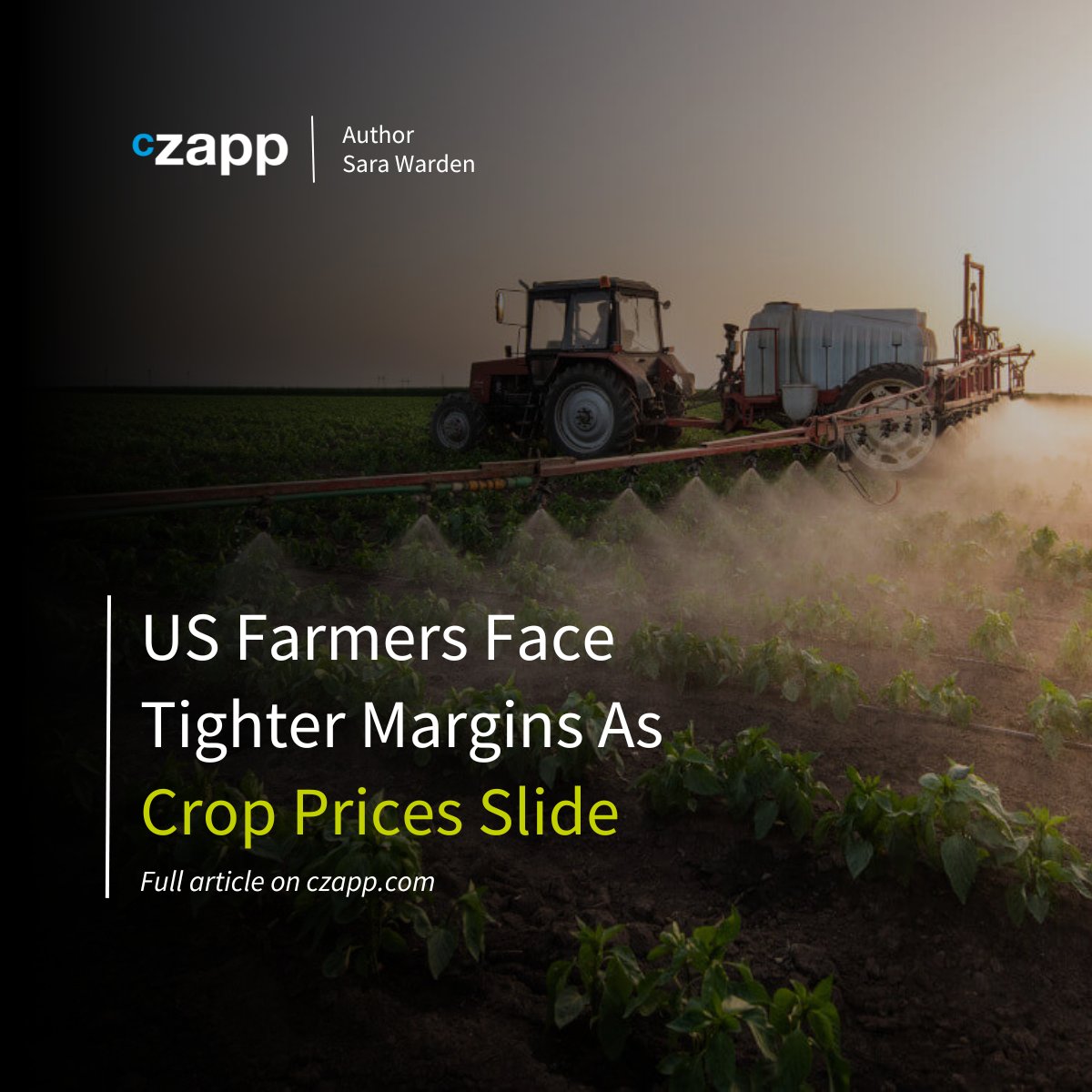 US farmers are feeling the squeeze as crop prices drop, impacting their margins. Discover the challenges they face and the future of farming in the US: ow.ly/AWXn50R36pV #Agriculture #Farming #CropPrices