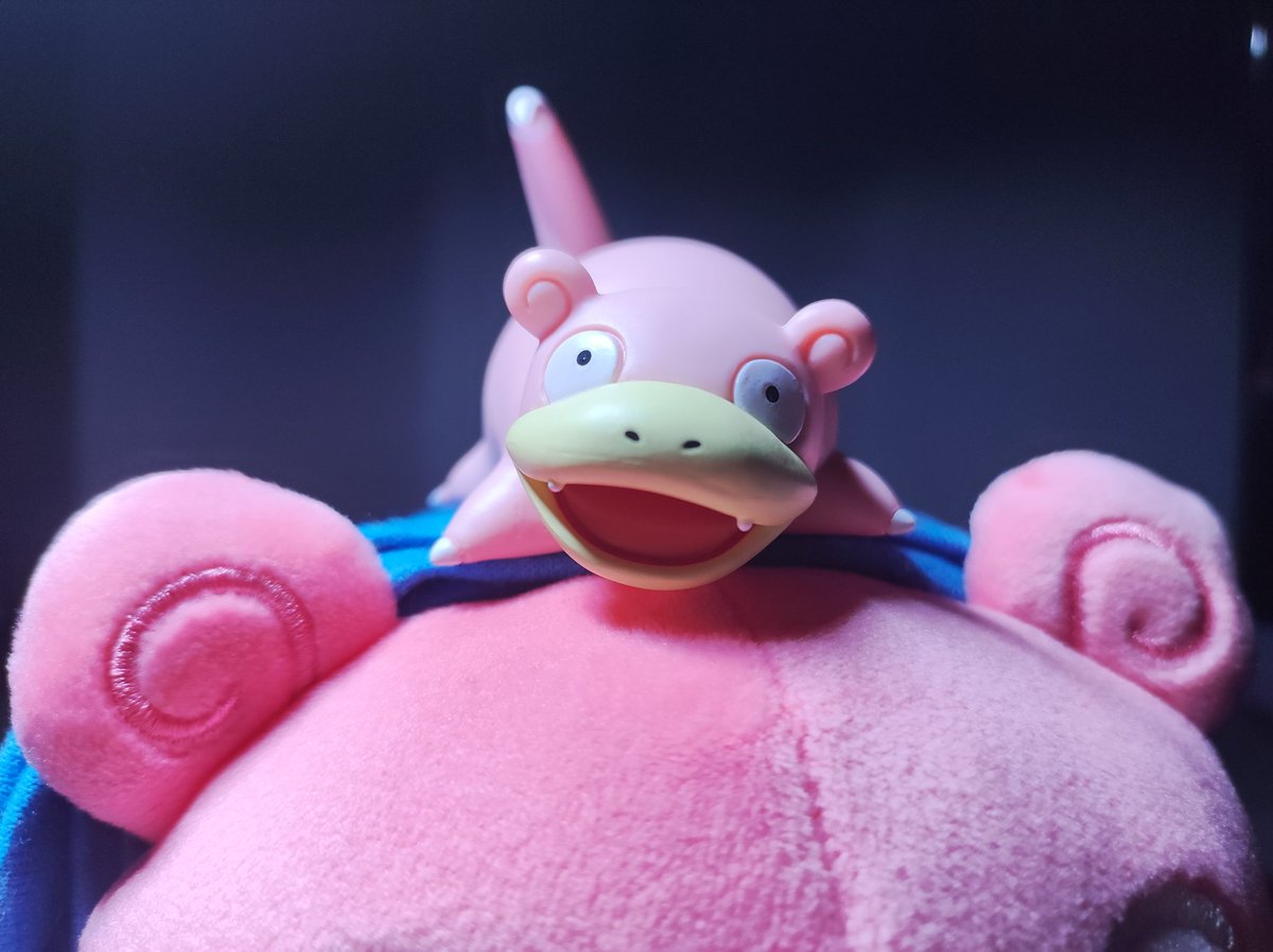Slowpoke 💧 tweet media