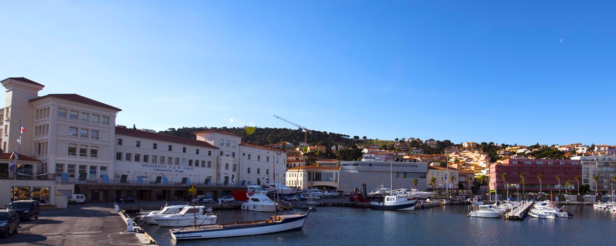 We have a new postdoc offer to work on marine microbial ecology and metagenomic datasets at the @OOBanyuls For information and applications see: emploi.cnrs.fr/Offres/CDD/UMR…