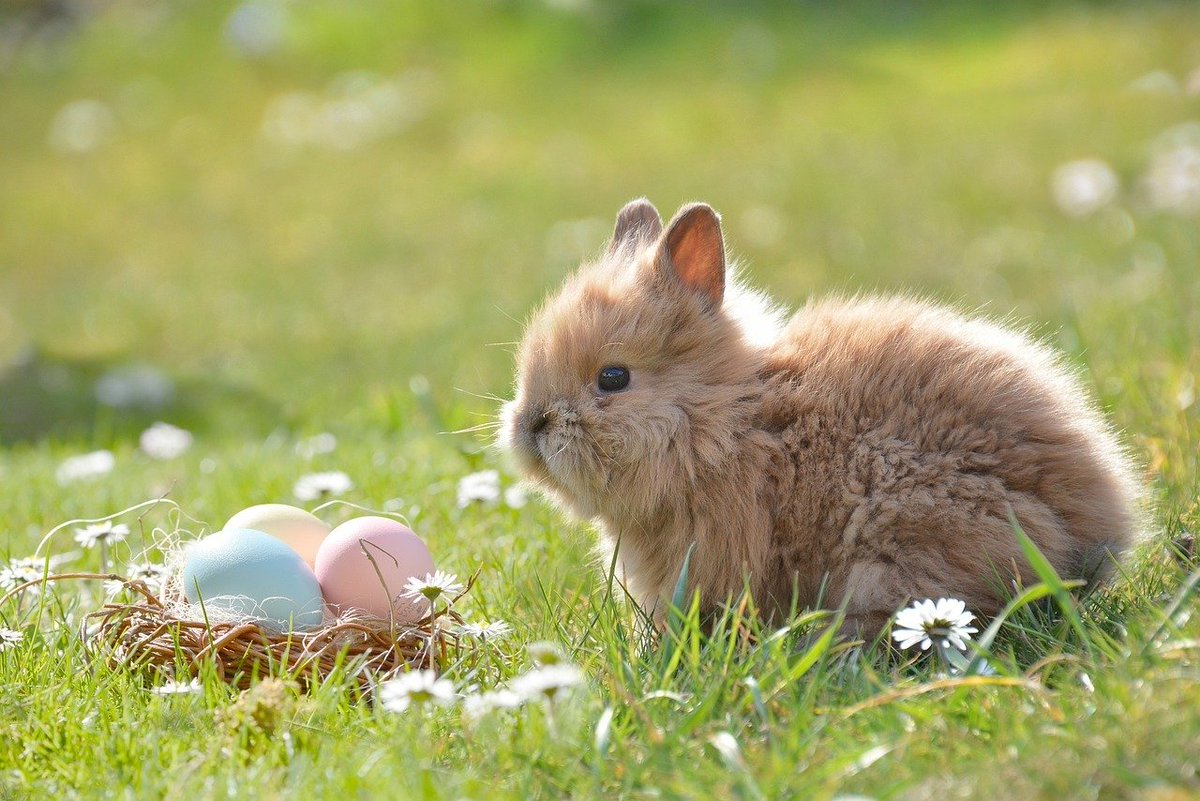 It's the Easter Weekend!! Find out What's On over the weekend and the School Holidays! Visit whatsontendring.com/events/ 
#clacton #harwich #waltononthenaze #Manningtree #frintononsea #brightlingsea #stoysth #jaywick #colchester
