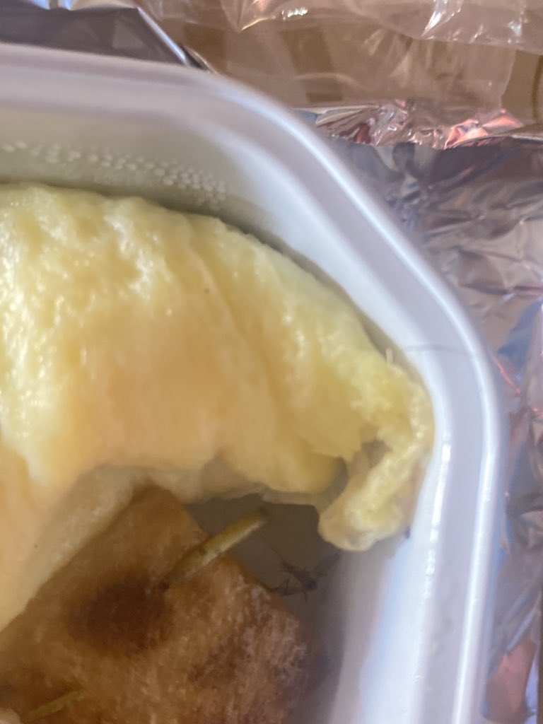 hiroaashima's tweet photo. @fssaiindia @DGCAIndia @JM_Scindia Found a dead mosquito in my meal on flight del-blr @airindia 

It is not just about me, it is about everybody who will board @airindia and will be served their meals.
Please look into their catering process https://t.co/JsL992l9y3