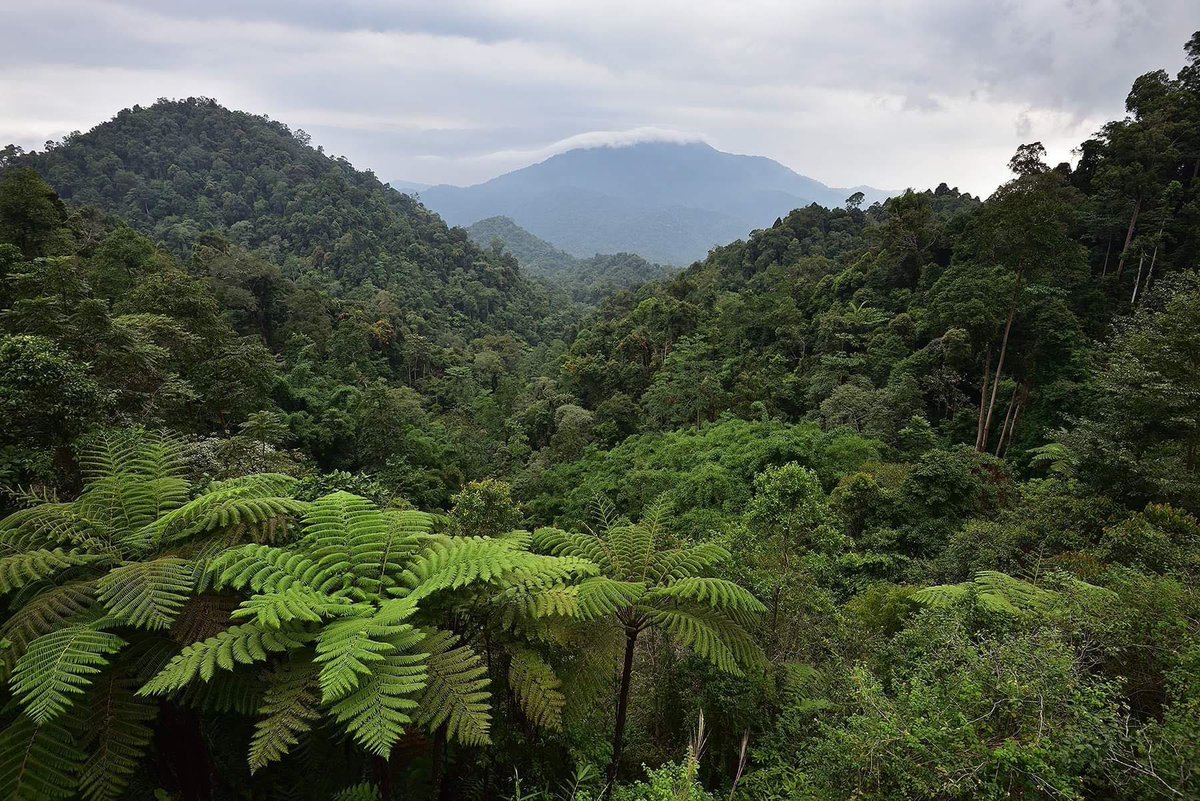 🔭A team led by @ShengFeng_Shen at Biodiversity Research Center examines the complex relationship between the rate of isotherm shift and the biological responses in mountain regions worldwide. ⛰️🌡️The study has been published in @Nature sinica.edu.tw/en/News_Conten… #Climate #Isotherm