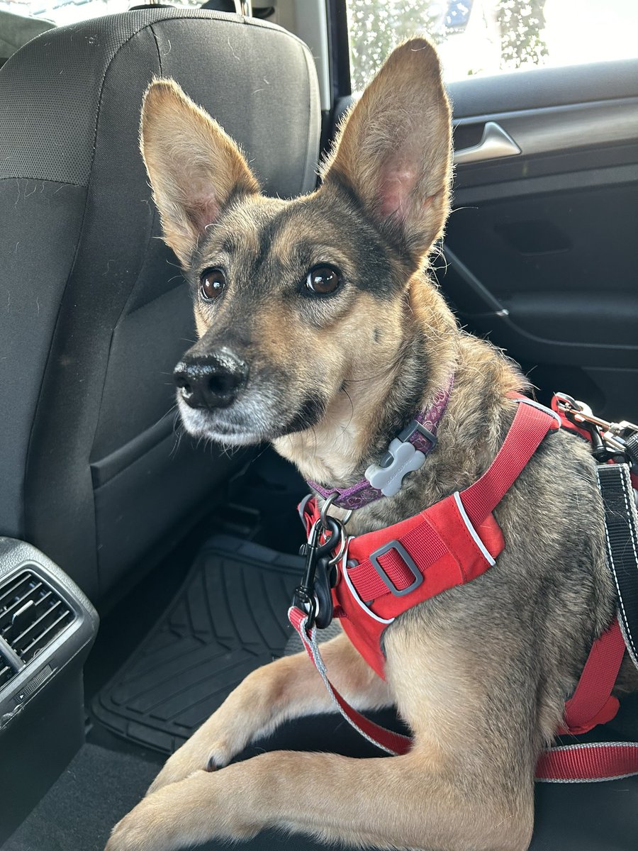 Diane Coyle tweet media