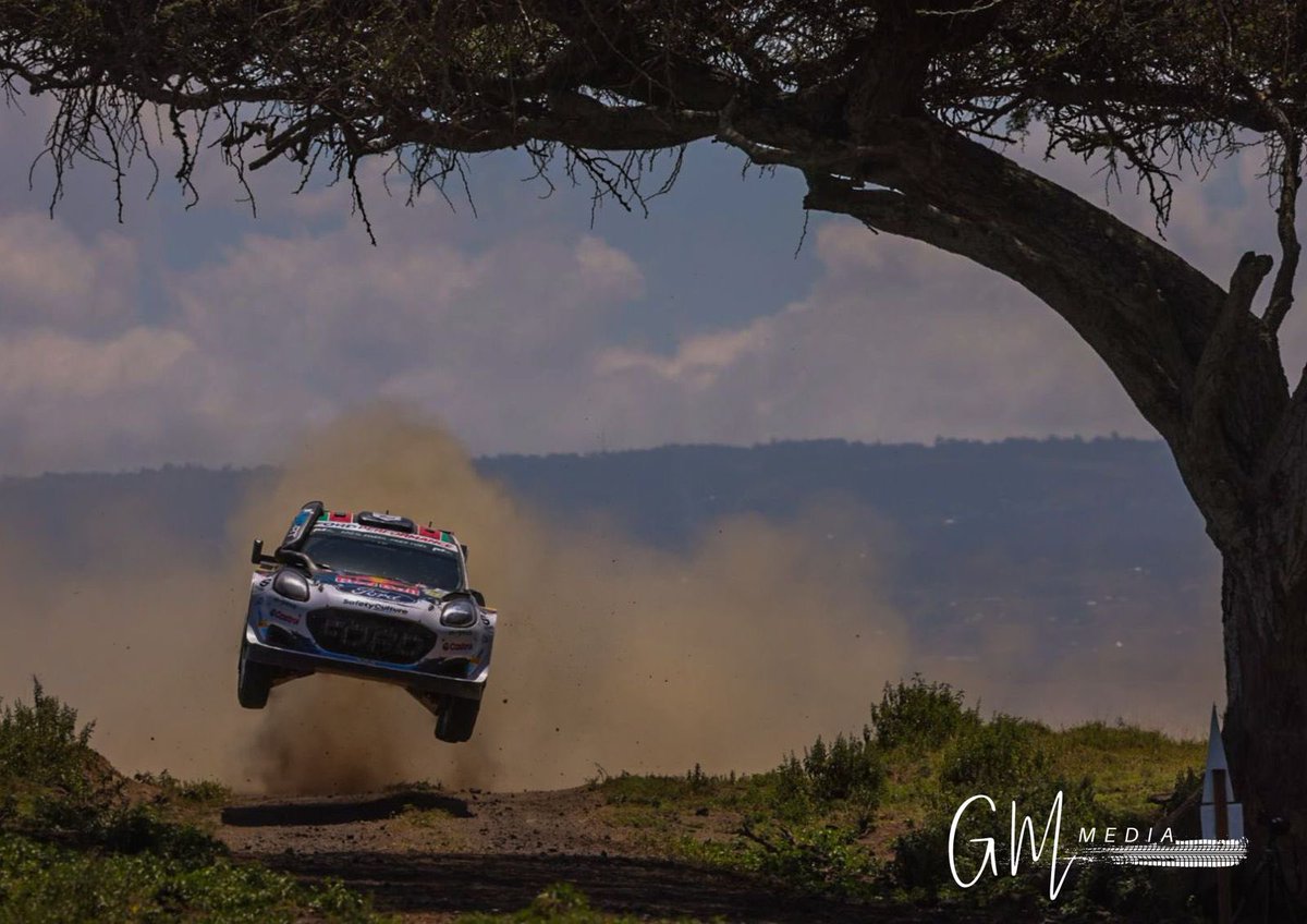 Three from Friday morning - the famous Twin Trees! @wrcsafarirally @OfficialWRC