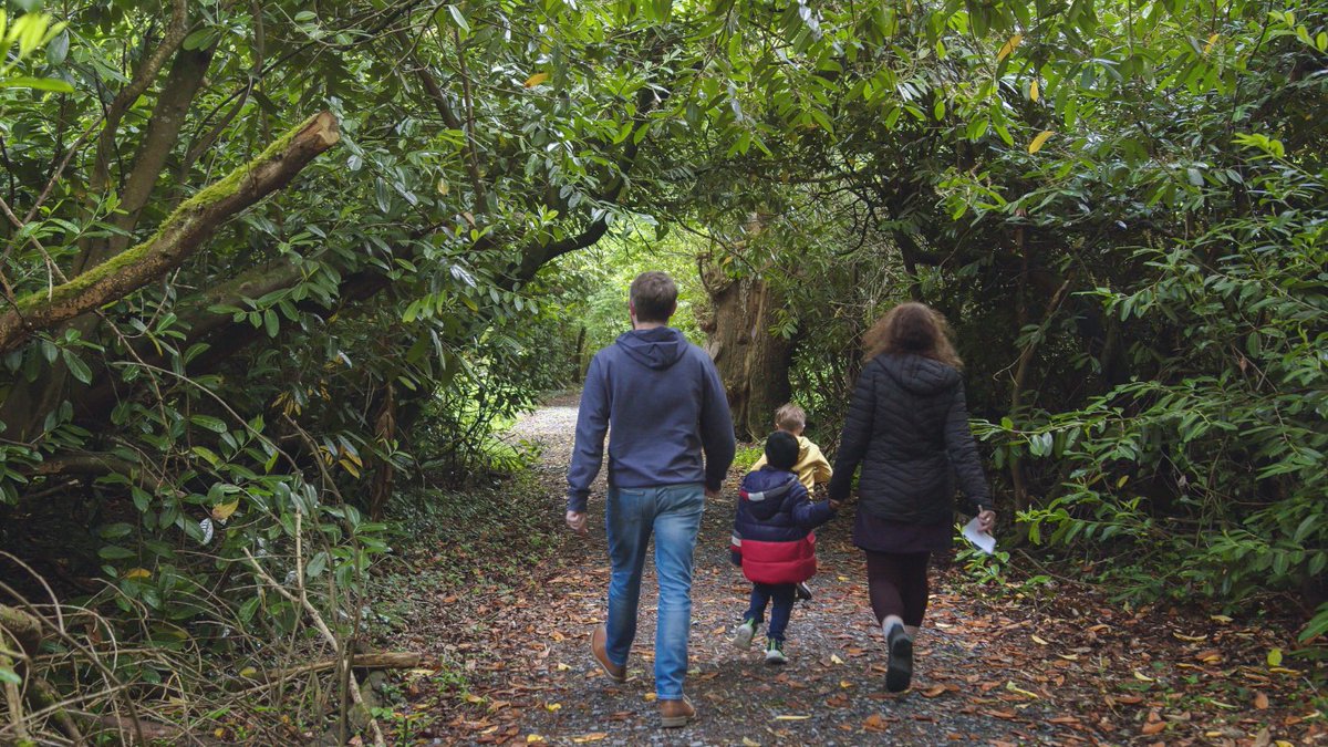 IrHeritageTrust's tweet image. Get the positive vibes from nature this #easterbreak. From walled gardens to wilder woodland walks, discover the rich variety of natural heritage @strokestownpark. 

#keepdiscovering #springwalks @vroscommon @discoverireland