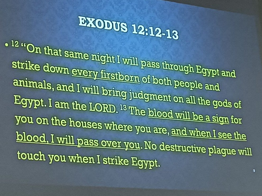 The Court of Saint Pamela tweet media