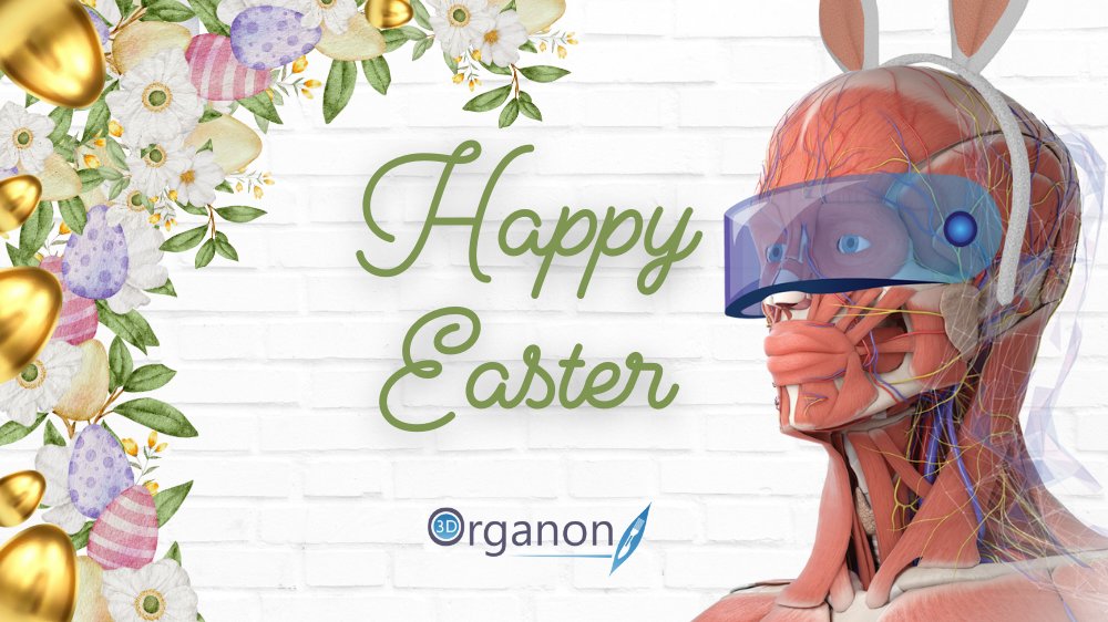 Happy Easter from 3D Organon! Wishing you and your loved ones a joyful Easter filled with hope, love, and all the blessings of the season! May this special day bring you renewed faith, happiness, and countless sweet moments with those who matter most. #New3DOrganon