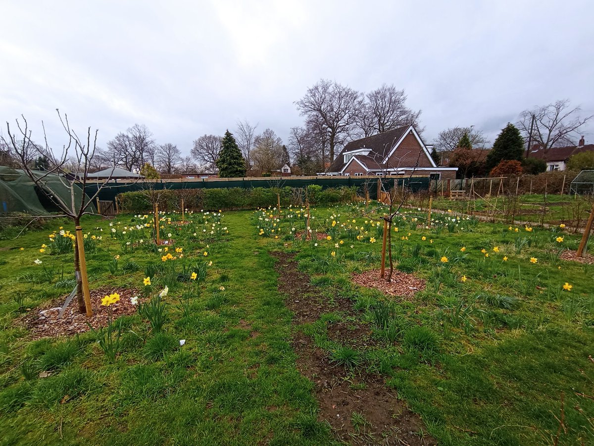 The College Orchard