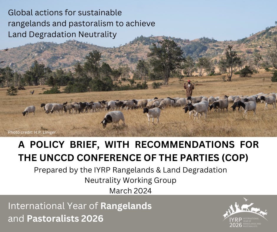 Rangelands and pastoralism must be valued and supported for their contribution to achieve local and global goals – particularly towards reaching Land Degradation Neutrality (LDN). Read this policy brief on Global actions for sustainablerangelands and pastoralism to …