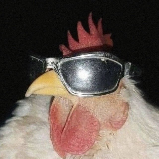 <a href="/XtrendETH/">Xtrend ETH</a> <a href="/XtrendSOL/">Xtrend SOL</a> Chicken with Sunglasses 🕶️😎$POLLO. Team working tirelessly to moon this great fortunes fam ape in. Dev who is community oriented and a fantastic marketer.