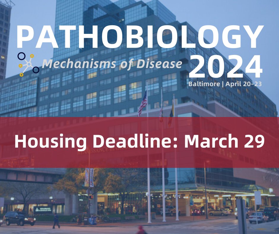 🚨 TODAY is the discounted housing deadline for #Pathobiology2024! Booking with the official meeting hotels helps support the ASIP in hosting this meeting. ✅ Check this off your to-do list bit.ly/4c7p29F