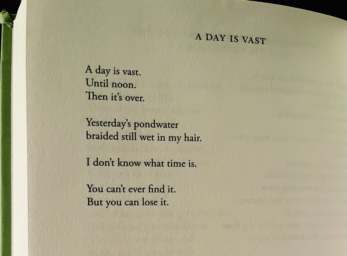 A day is vast - Jane Hirshfield