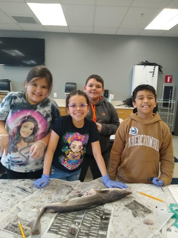 LeesburgBlazers's tweet photo. For the past three weeks, third graders have been immersed in a cross-curricular and multilingual underwater world of sharks! To celebrate their learning, students dissected sharks with the help of Mrs. Rose Love from Warsaw High School.  #wcsmission  #experincewcs https://t.co/nqhZ9UMkyG
