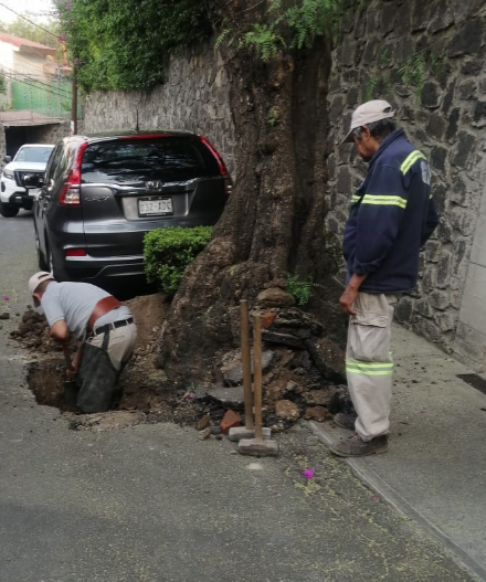 las 3 fugas ocultas , que gracias al sonar de @SacmexCDMX y trabajo conjunto con <a href="/TlalpanAl/">Alcaldía Tlalpan</a> se detectaron, ya fueron atendidas. 3 fugas menos en la colonia, quedan varias por atender. Muchas gracias a los vecinos que me ayudaron en el recorrido. <a href="/TlalpanVecinos/">Tlalpan Vecinos</a> <a href="/elsoldelomas/">El Sol de Lomas</a>