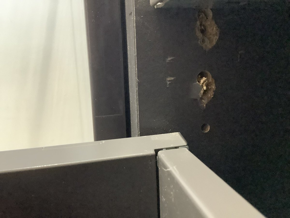 Adam Green tweet media