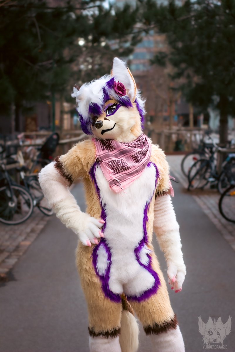 โจ Violet โจ @NFC (@viiivixen) on Twitter photo Fennec on your path, what do you do?~ ๐ฆ
๐ธby: <a href="/vlinderdraakje/">vlinderdraakje</a>
#FursuitFriday #NordicFuzzCon Fennec on your path, what do you do?~ ๐ฆ
๐ธby: <a href="/vlinderdraakje/">vlinderdraakje</a>
#FursuitFriday #NordicFuzzCon