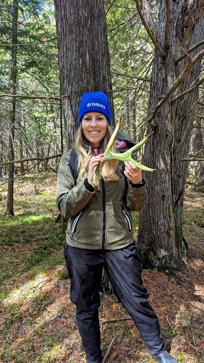 Yesterday was one of my favourite days in awhile! I spent the day searching for shed antlers, and spent the evening fishing from shore. It was so nice to kick off the open water season with some yellow perch, pumpkinseeds & my favourite when it comes to panfish - black crappie!