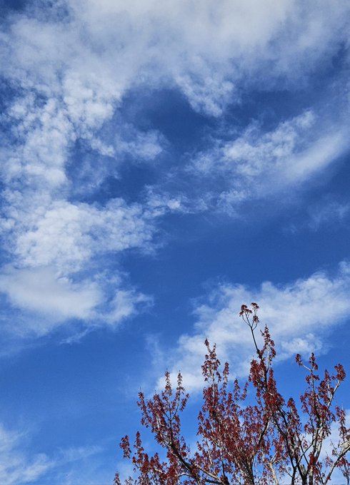 Twitterのコスプレ画像4