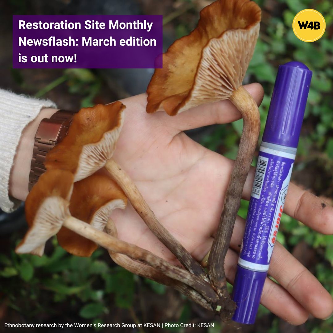 🌿Check out the latest updates from our partners in 6⃣ restoration sites around the world. Read the March edition➡️ bit.ly/march-newsflash #genderisabiodiversityissue