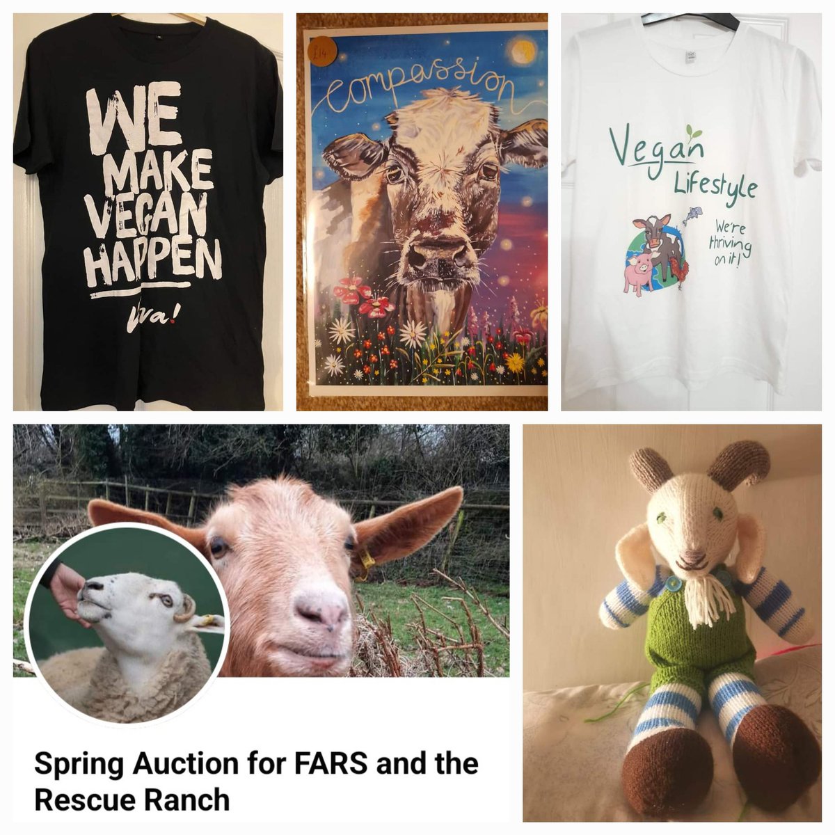 🌷 FARS SPRING AUCTION! 🌷 2 of our volunteers (Caroline & Debbie 🤗) have put together a stunning online auction in aid of FARS 🐑🐖🐔 & our lovely neighbours The Rescue Ranch 🐐 Do have a browse over on Facebook (apologies if you're not a FB user 😔) 🛒 facebook.com/share/hrzh8Jss…