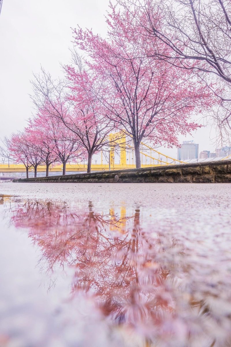 helena_mar19's tweet photo. Pink

(📷Pinterest) https://t.co/LGehlbdGOL
