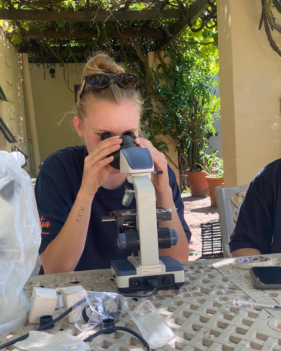 A quick photo download from some of our participants on their pre-veterinary internship in South Africa! SO COOL 🙌

For more info on this program, check out our project page: hubs.la/Q02r6vmy0

#prevet #veterinaryinternship #internabroad #kayavolunteer