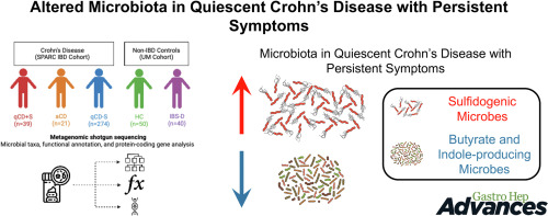 The Microbiome in Quiescent #Crohn’s Disease With Persistent Symptoms Show Disruptions in Microbial Sulfur and Tryptophan Pathways ➡️ ow.ly/oauB50QZhmJ