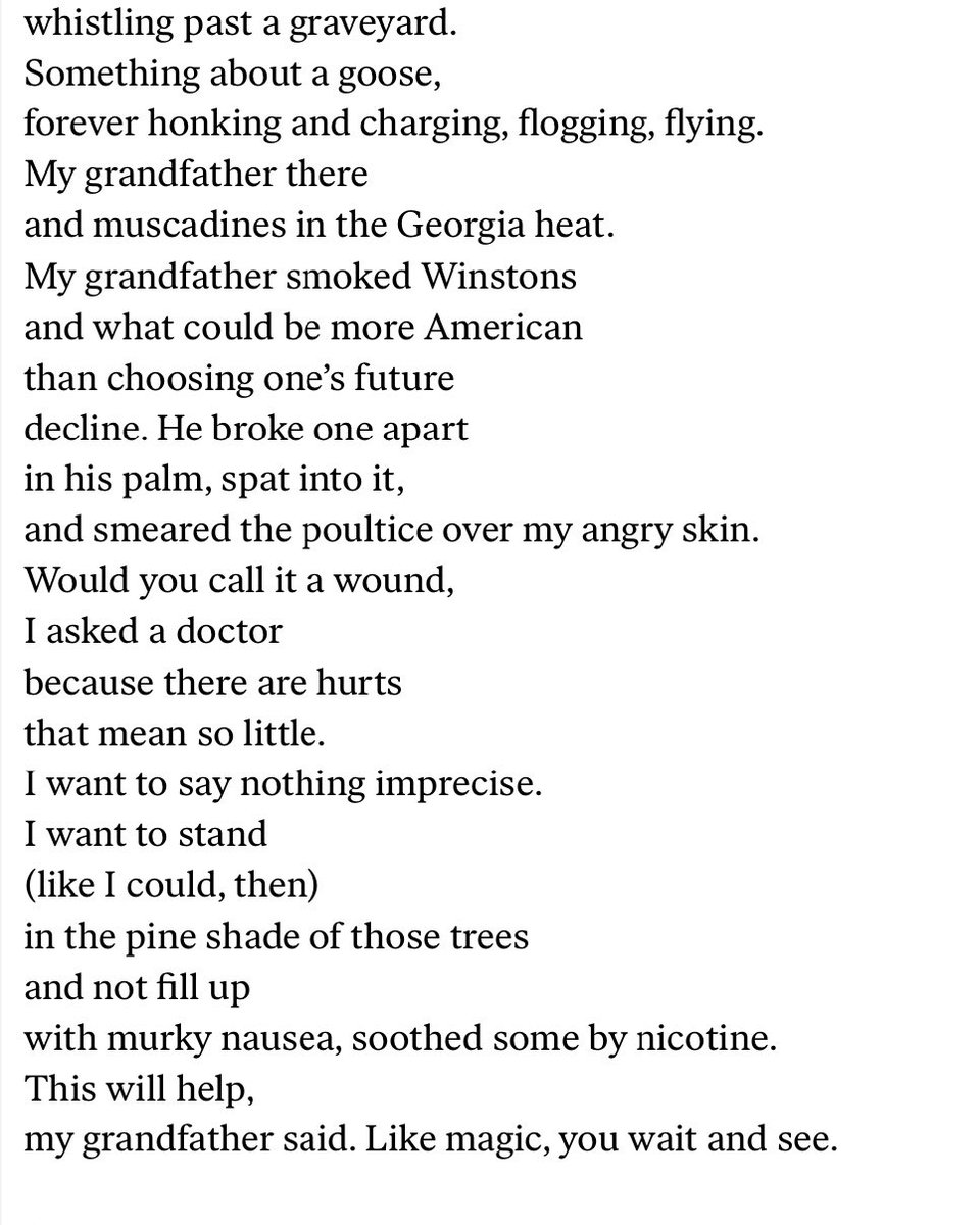 Poetry | The Nation tweet media