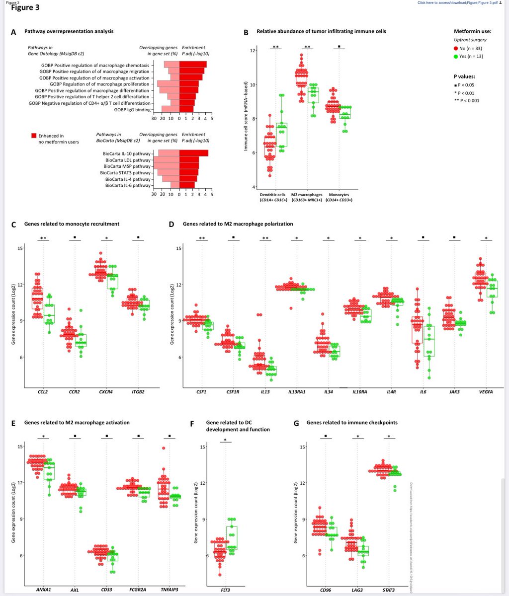 💊Metformin and anti-tumor immunity in pancreatic cancer
@JNCI_Now 

✅Metformin use was associated with -OS⬆️
-pro-tumoral immunity⬇️ 
-anti-tumoral immunity⬆️

➡️Samples from PREOPANC RCT
➡️up-front surgery and nCRT-treated patients
➡️Transcriptomic NanoString immunoprofiling…