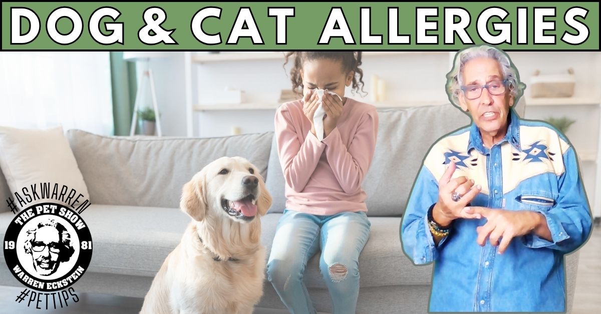 🐱🐶 R allergies putting a damper on UR pet dreams? Warren shares invaluable advice 2 manage allergies. Don't let allergies come between U & UR beloved pets—watch now and breathe easier! #AllergyTips #PetAllergies #HypoallergenicPets  🌿🐾youtube.com/shorts/PJLMD5I…