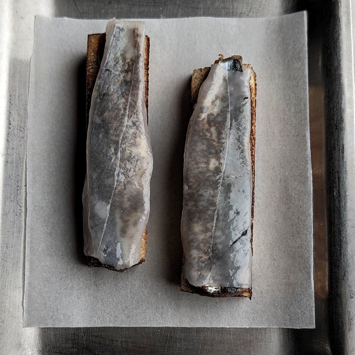 CURED SARDINE
bbq plum, toast, lardo

orasay